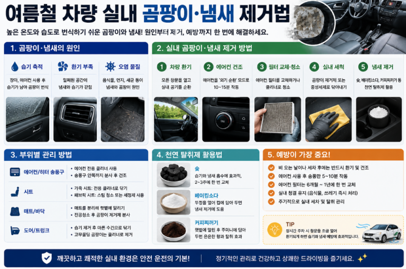 여름철 차량 실내 곰팡이·냄새 제거법