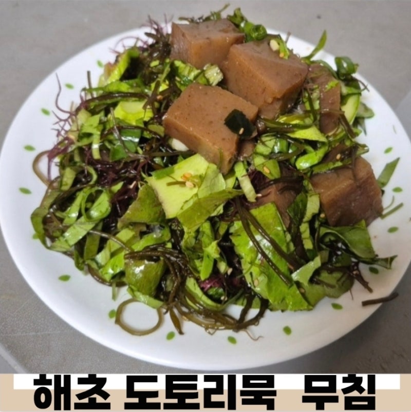 직접 만든 도토리묵으로 완성한 해초무침, 여름 밥상이 더 건강해지는 맛