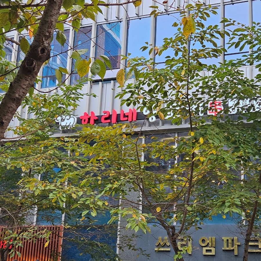 하리네양꼬치 2호점 사진 1