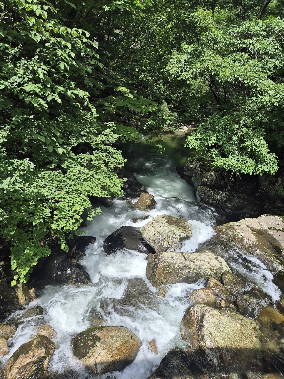 Yetnalyetjeok photo 3
