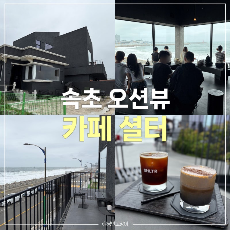 속초 카페 셜터 | 분위기‘만’ 좋았던 카페 솔직후기