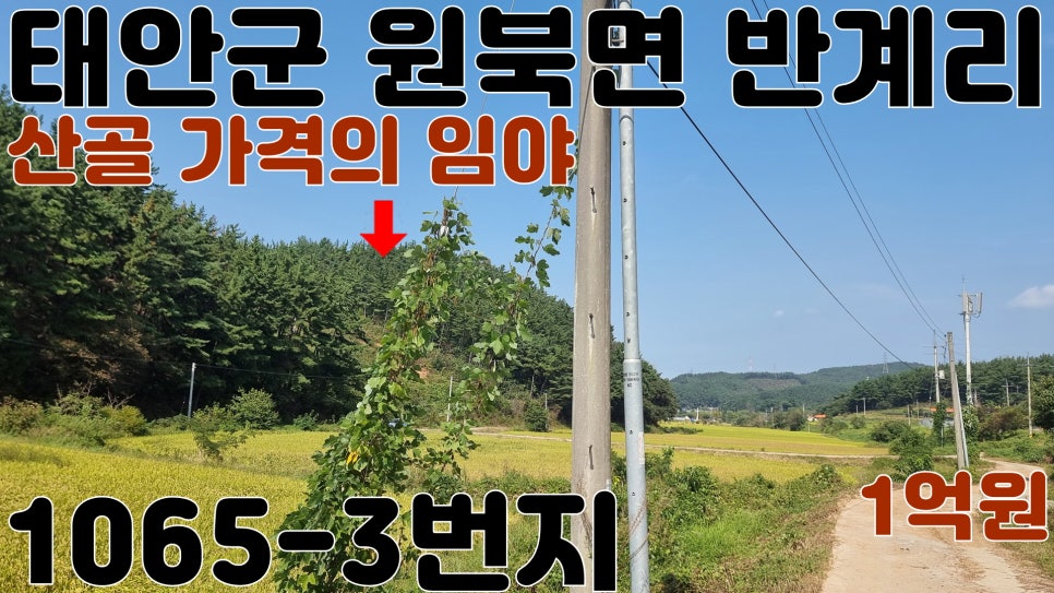 산골 사진 1