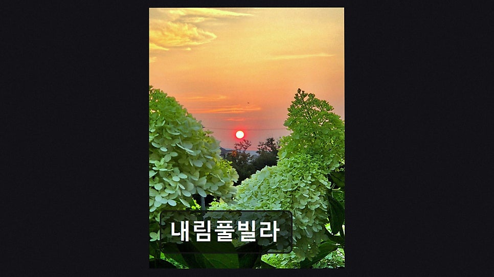 내림풀빌라 사진 3