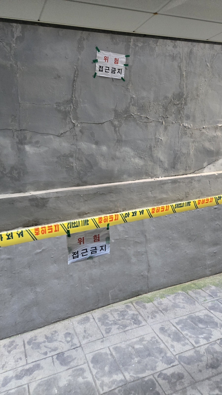 담벼락 사진 5