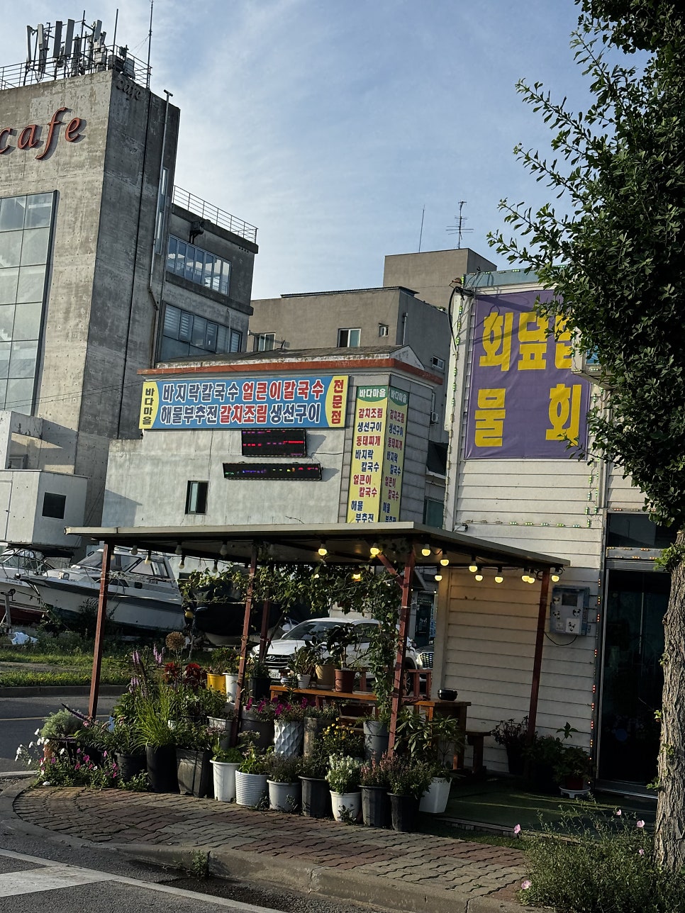 서해바다 사진 3