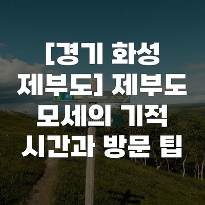 모세의기적 사진 1