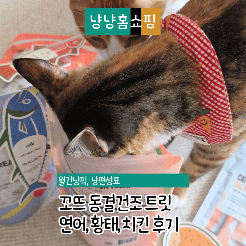 꼬뜨 동결건조 트릿 고양이 간식 추천 연어 황태 치킨 기호성 후기
