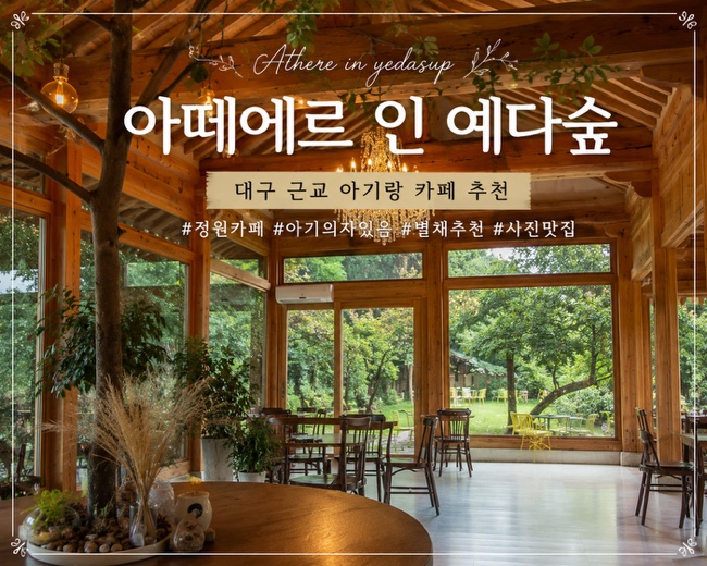 아떼에르인예다숲 사진 1