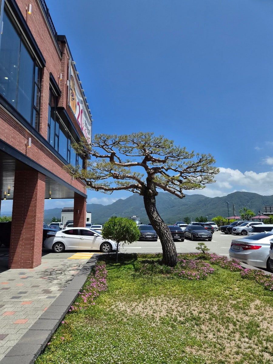 모악산소야 사진 5