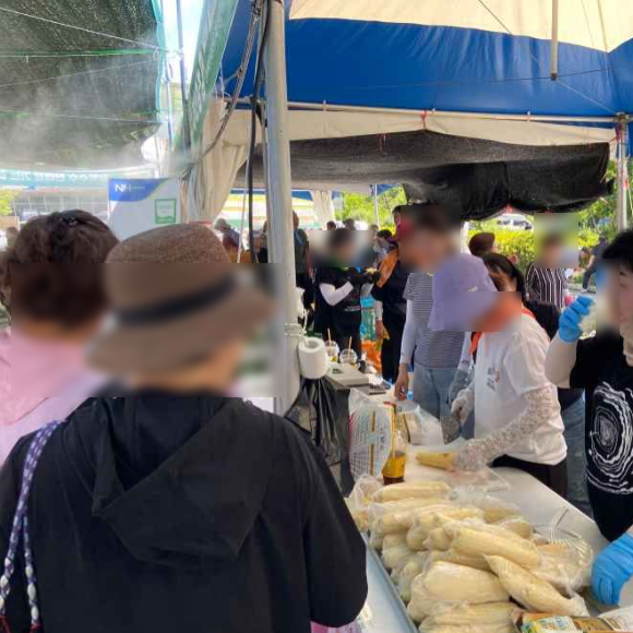 알파카월드 사진 6