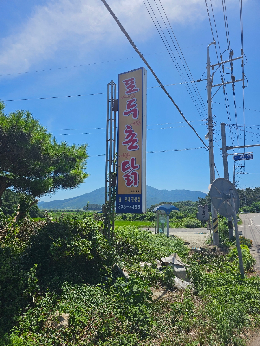 포두촌닭 사진 2