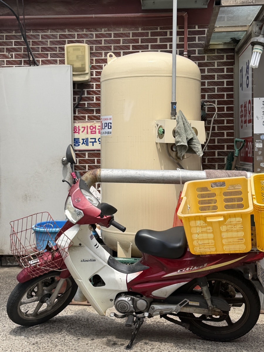 대성장 사진 5