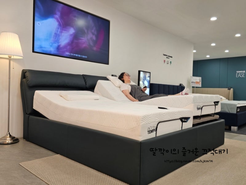 서초 템퍼 방배점 프로 프리마 매트리스 신혼 침대 추천