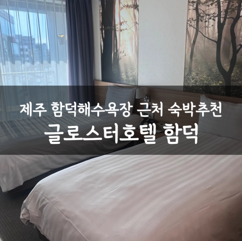 제주 동쪽 가성비 호텔 함덕해수욕장 글로스터호텔 함덕 솔직후기