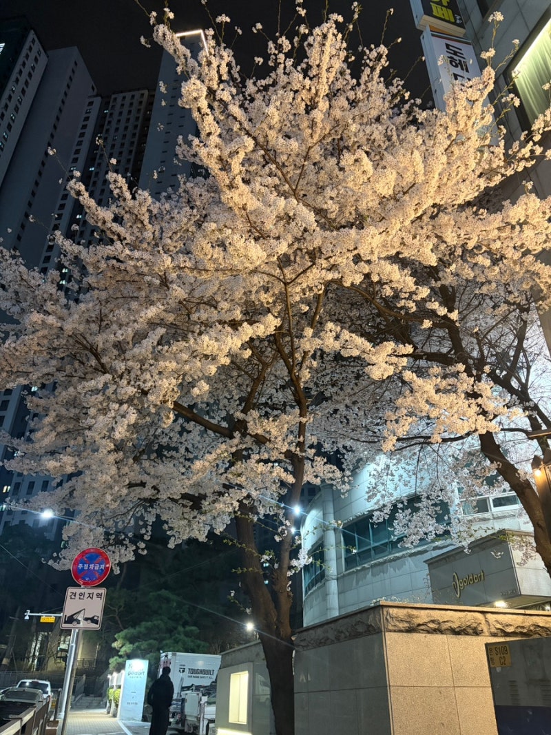 임신 초기 증상 및 7주차 고사난자 계류유산 소파술 후기