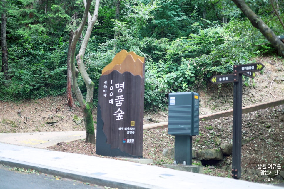 꿈의동산 놀이공원 사진 6