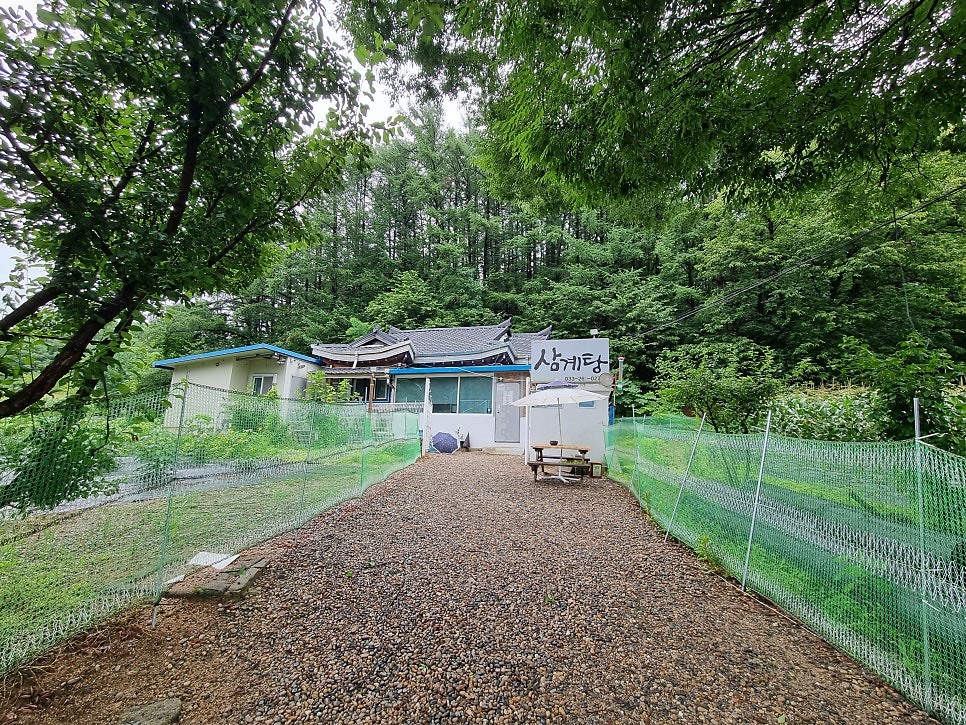 고모네삼계탕 사진 3