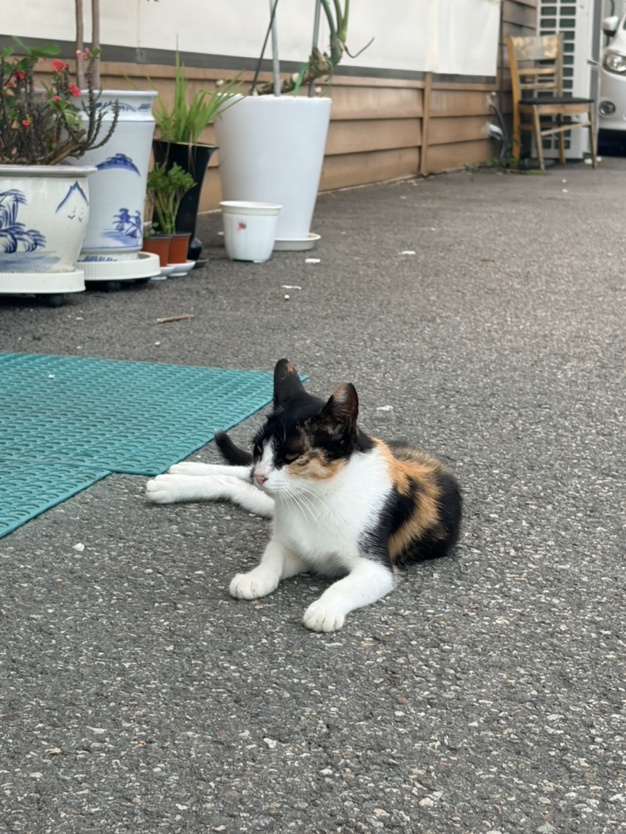 백년짬뽕 용인에버랜드점 사진 3
