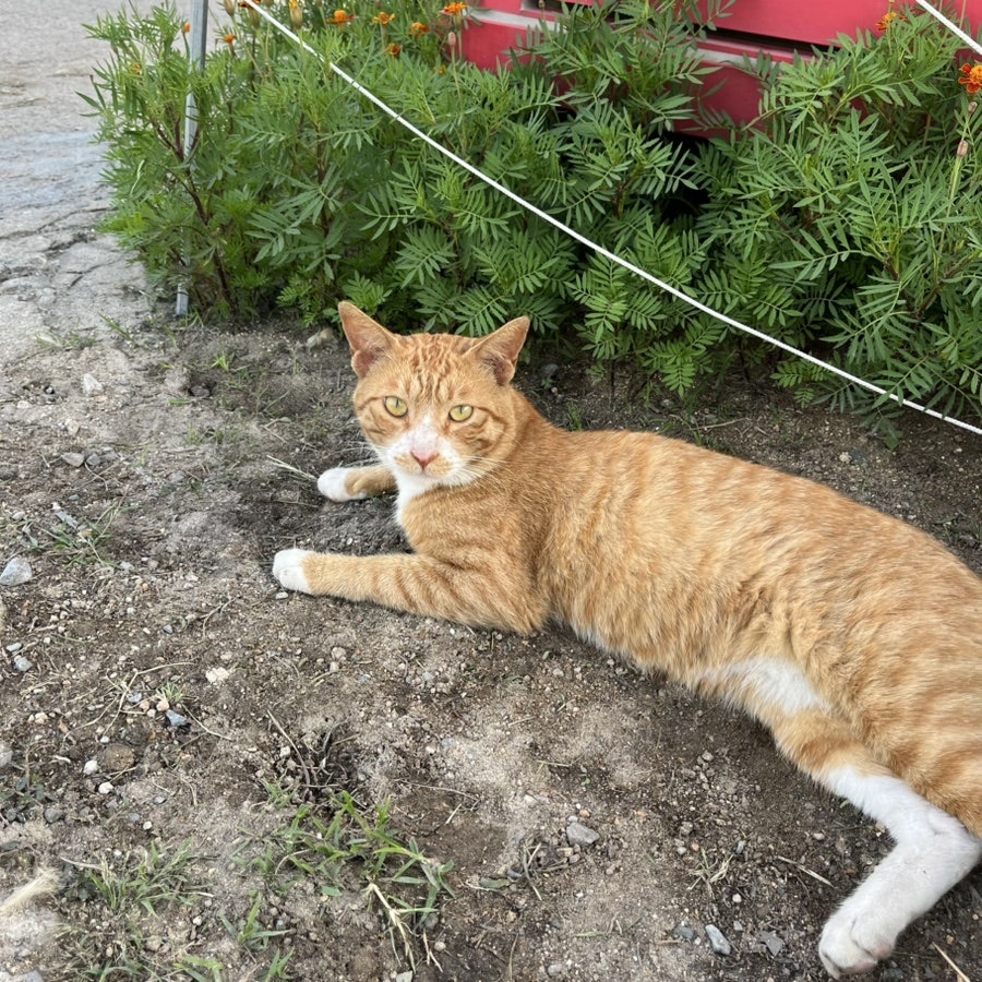 선녀풍 본점 사진 5