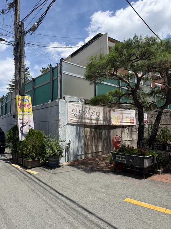 진가정집삼계탕 사진 3