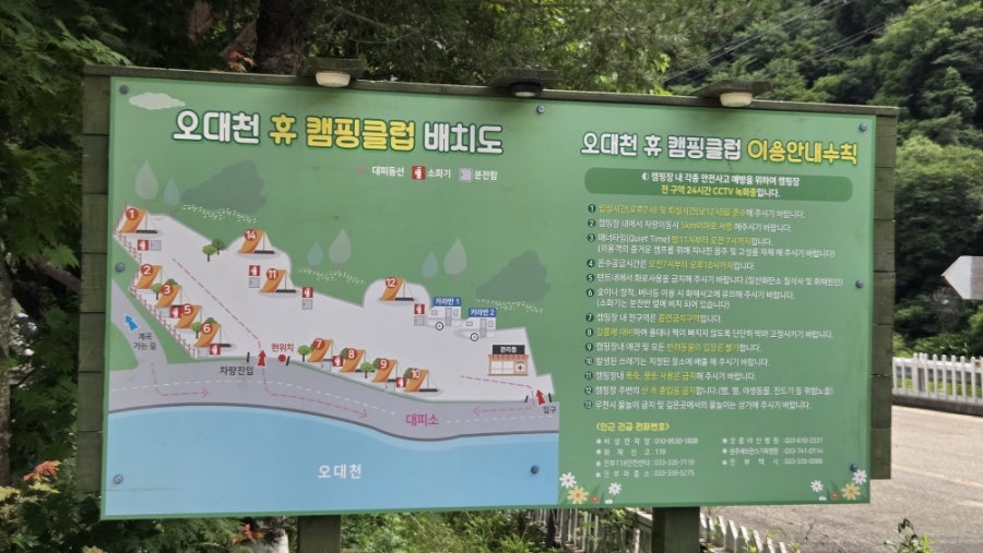 반갑다창문밖고양이 사진 6