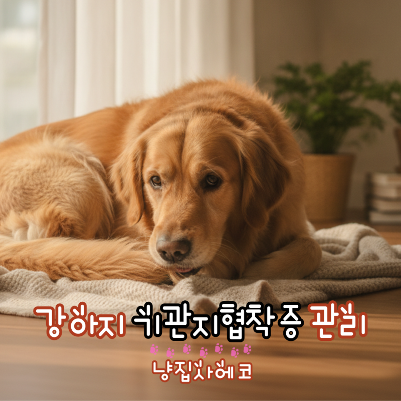 강아지 기관지협착증 관리 요령과 도움이 되는 사료 선택 방법