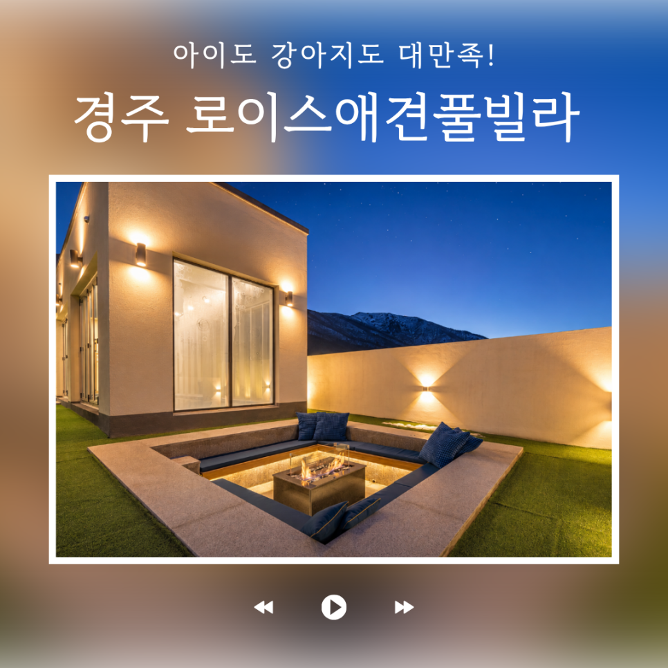 로이스애견풀빌라 사진 1