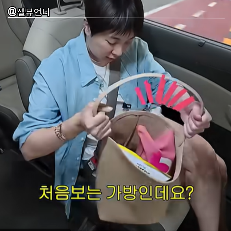 '왕따 논란' 이후 눈물의 화해… 더로우 맛 쿠팡 8만원템 서인영 가방