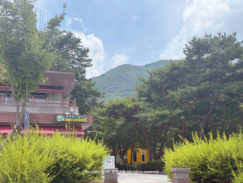 구름계곡오토캠핑장 사진 3