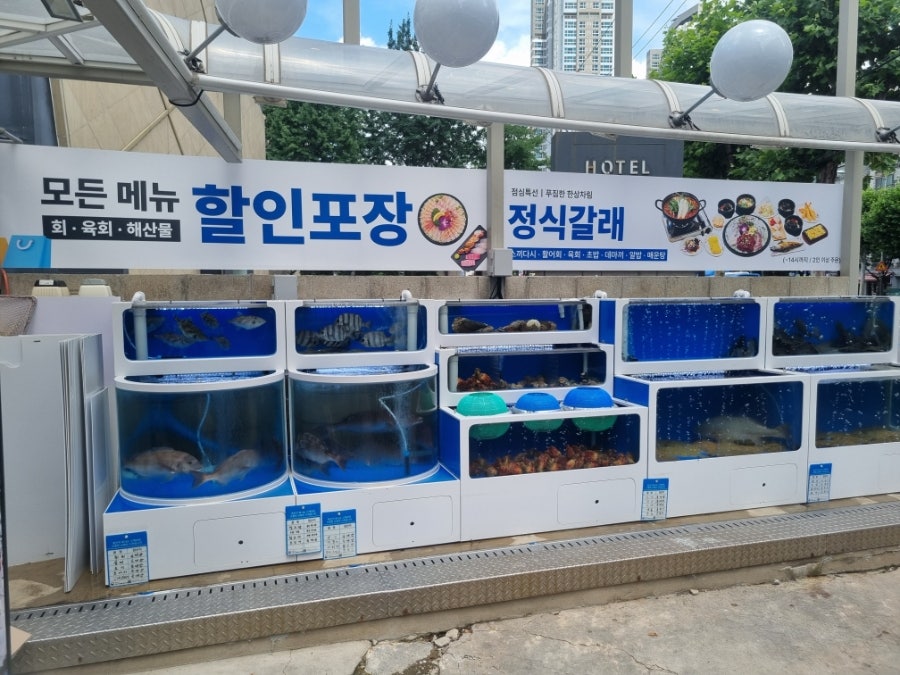 횟집갈래 사진 2