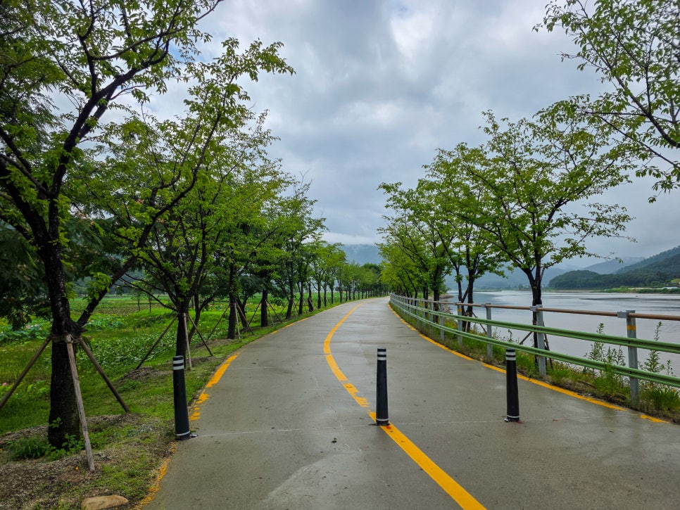 연꽃단지 사진 5