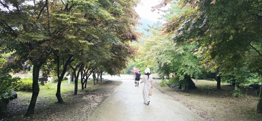 사문로98 사진
