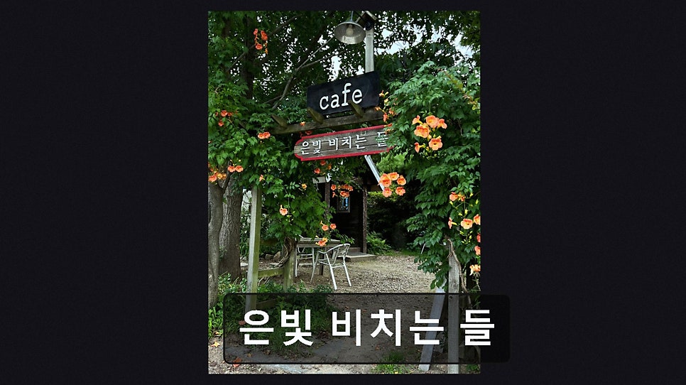 은빛비치는들 사진 3