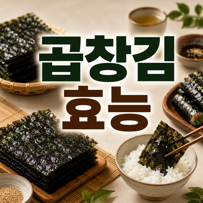 곱창김 효능과 칼로리, 일반김과 뭐가 다를까? 부작용 보관법 Q&A