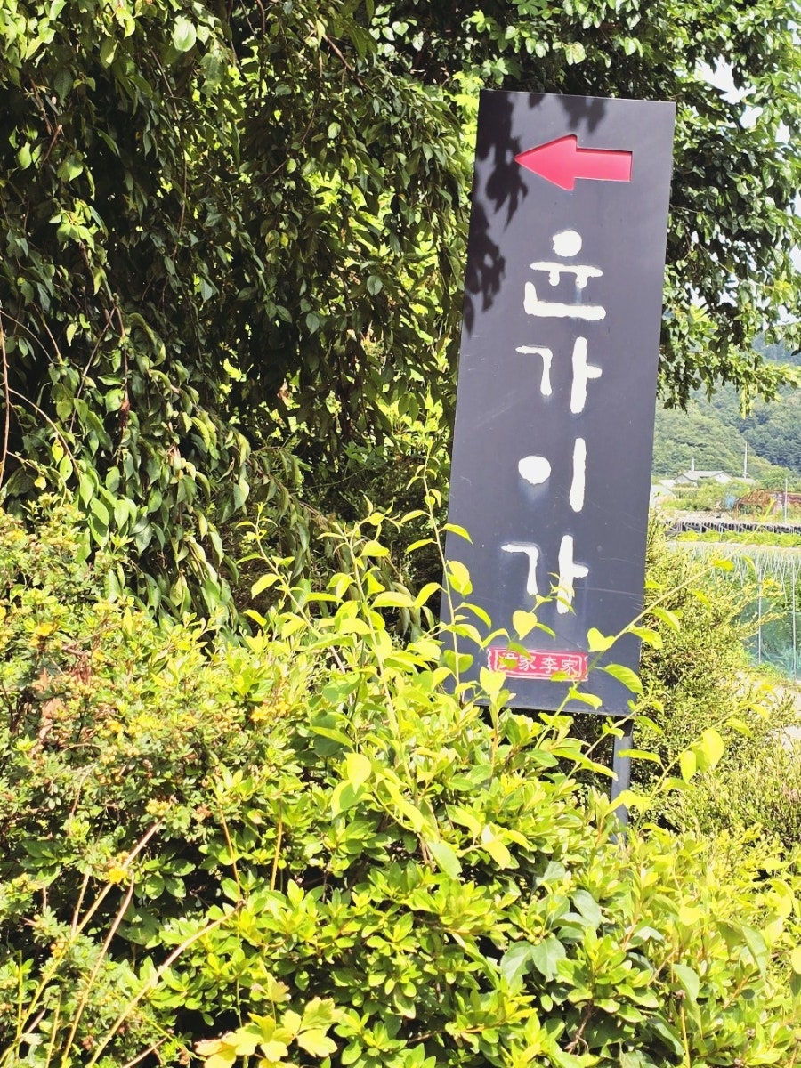 윤가이가 사진 2