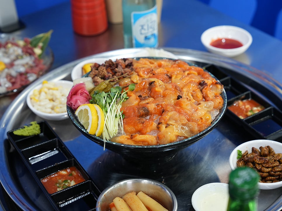 해삼 사진 6