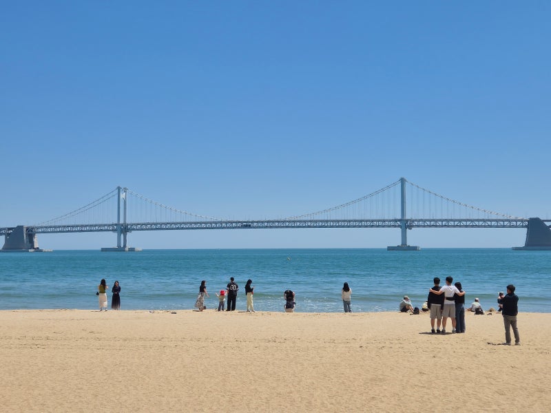 2026 광안리 해수욕장 개장 정보 및 드론쇼 일정, 주차까지 정리