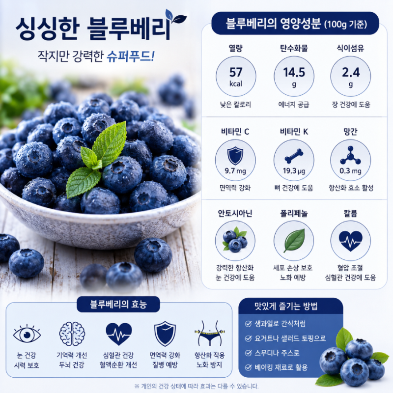 블루베리 효능 총정리! 눈 건강부터 항산화까지 하루 섭취량 완벽 가이드