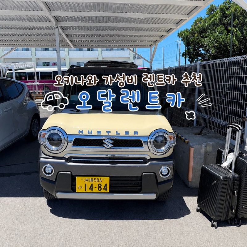 오키나와 아기랑 가성비 렌트카 추천 오달렌트카 카시트 무료대여 내돈내산