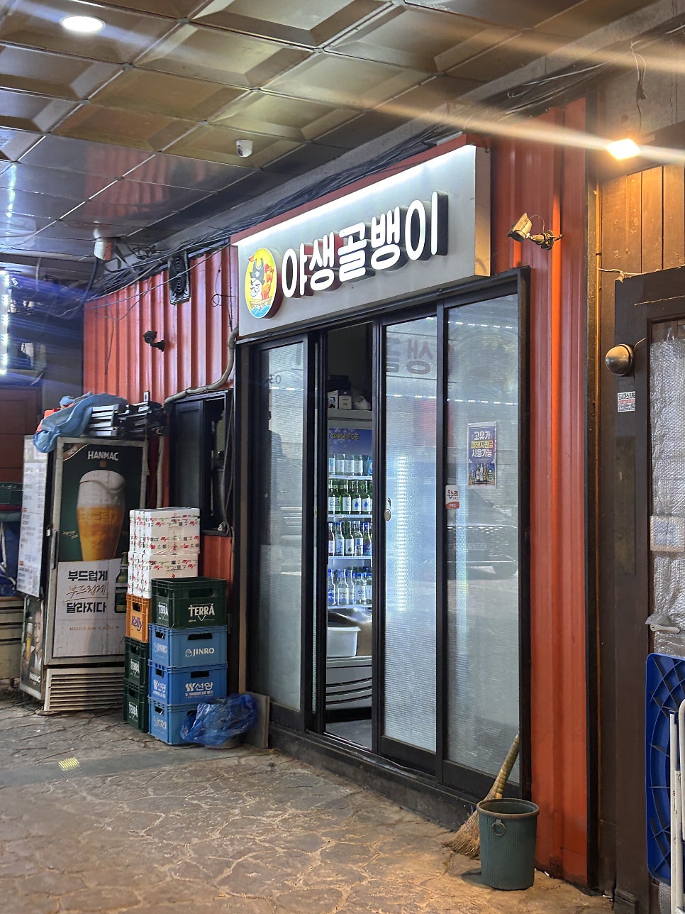 야생생골뱅이 사진 3