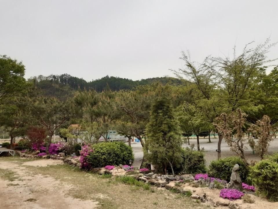 다그린캠핑장 사진 2