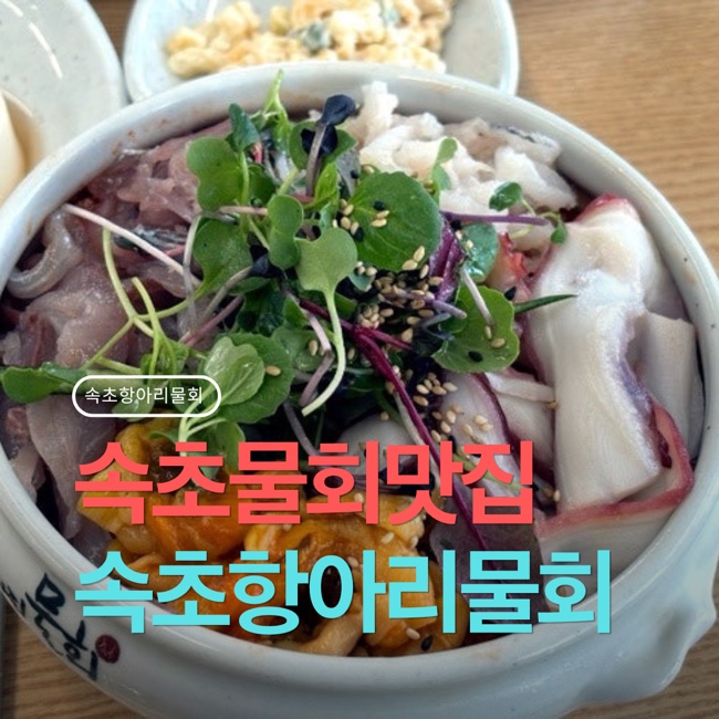 회가 사진 1