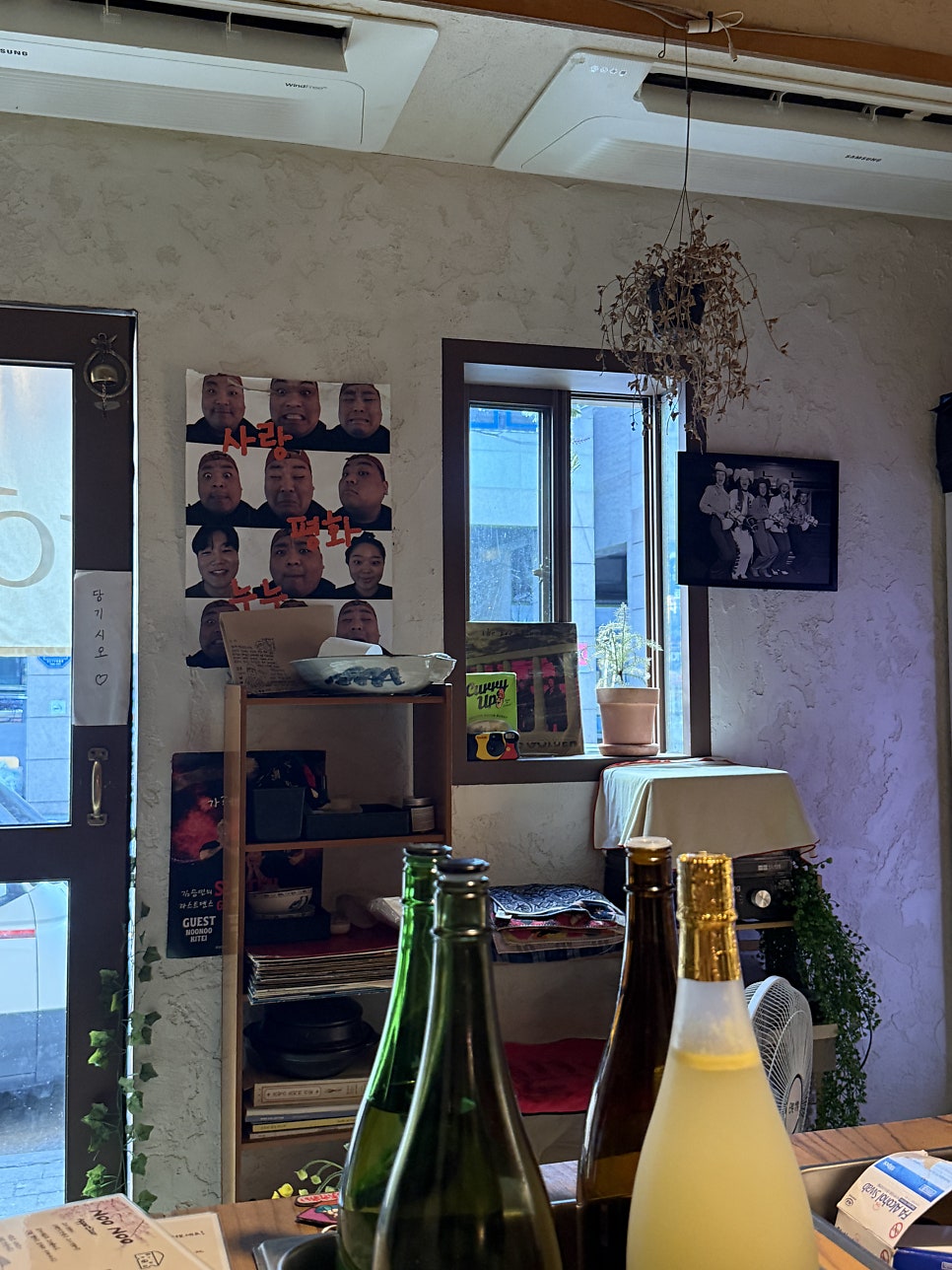 누누 사진 6