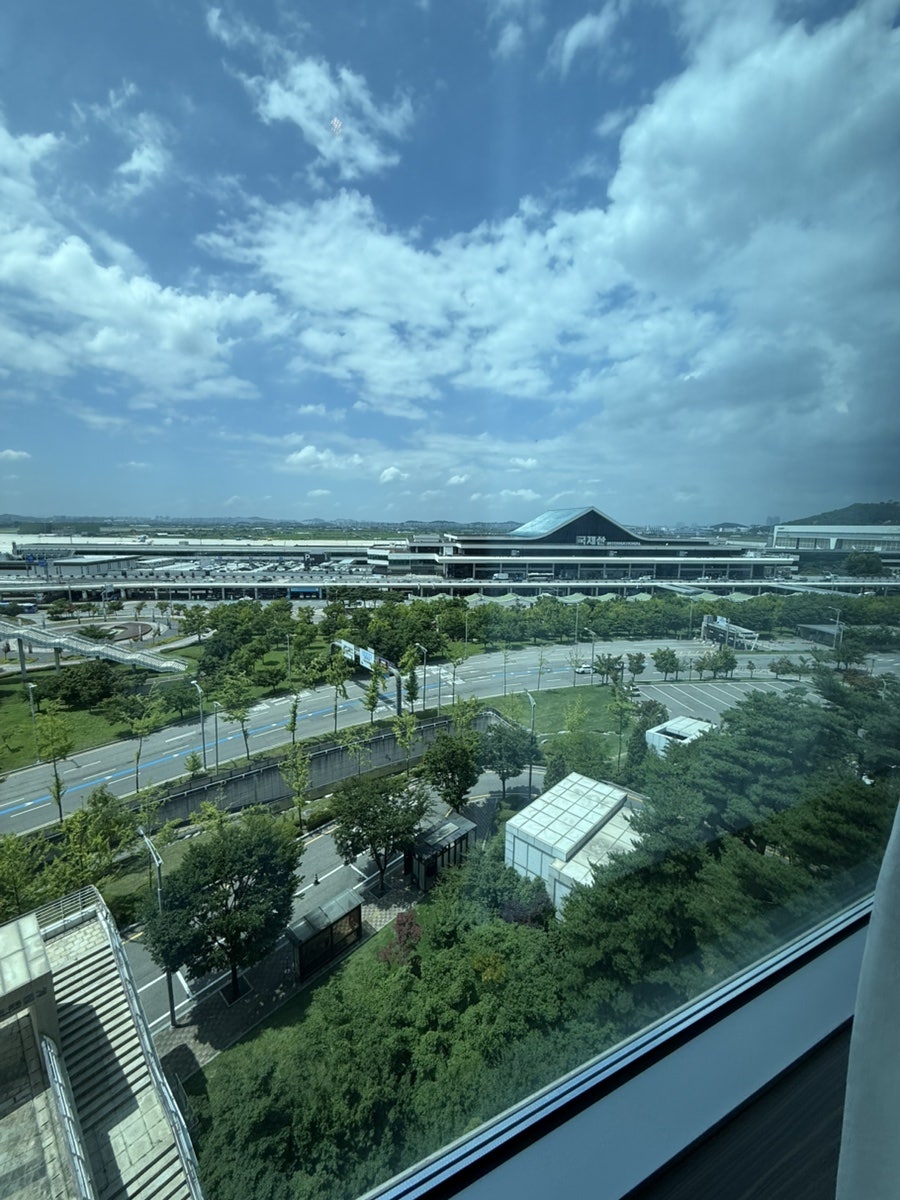 제주꽃돼지 사진 4