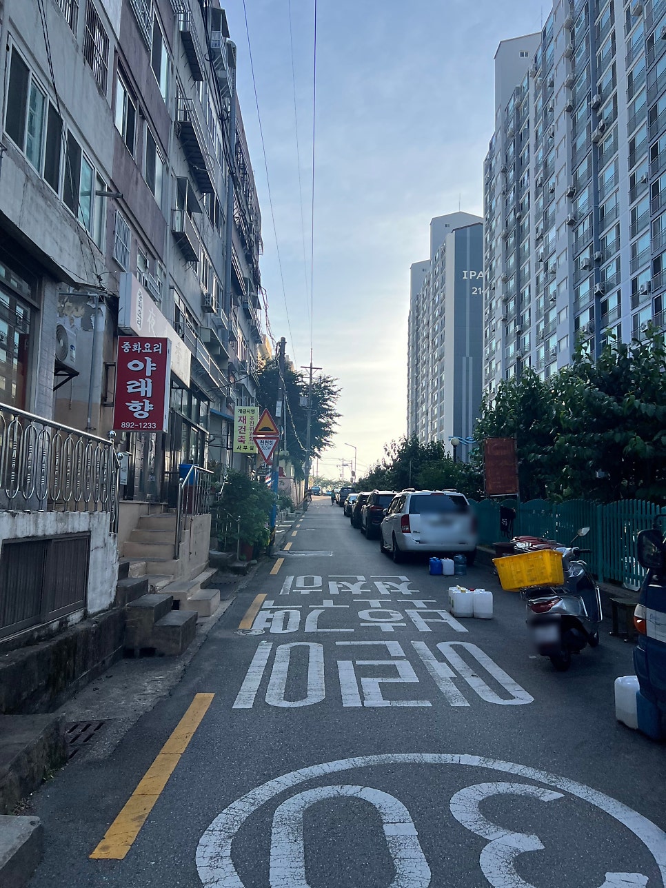야래향 사진 3