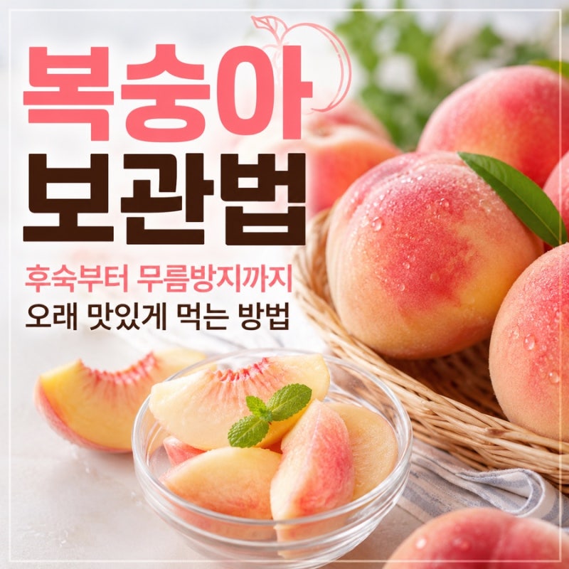 복숭아 보관법, 후숙부터 무름방지까지 오래 맛있게 먹는 방법