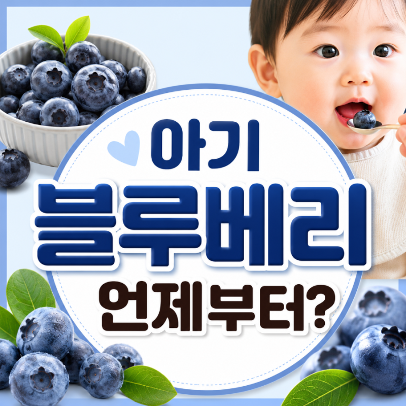 아기 블루베리 언제부터 먹어도 될까? 월령별 시작 시기와 하루 적정 양 총정리