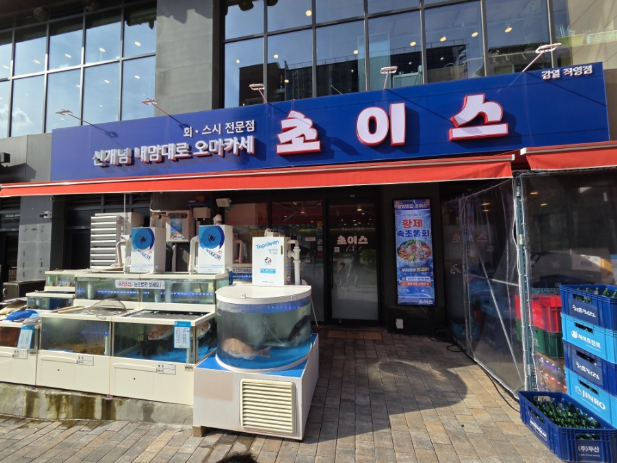 초이스 사진 4