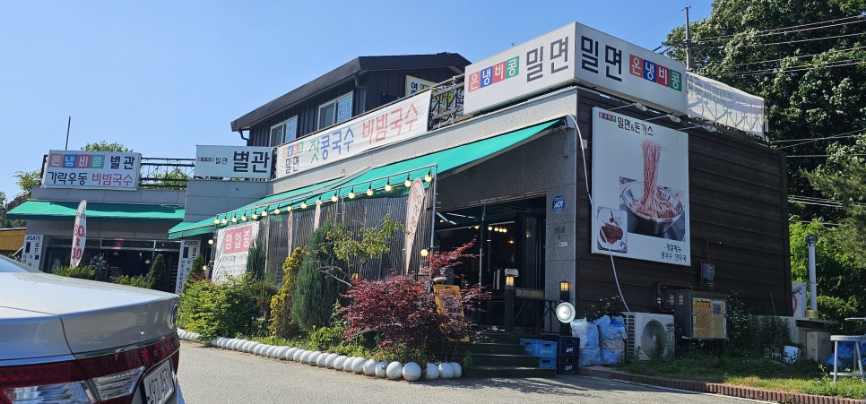 온냉비콩 사진 1