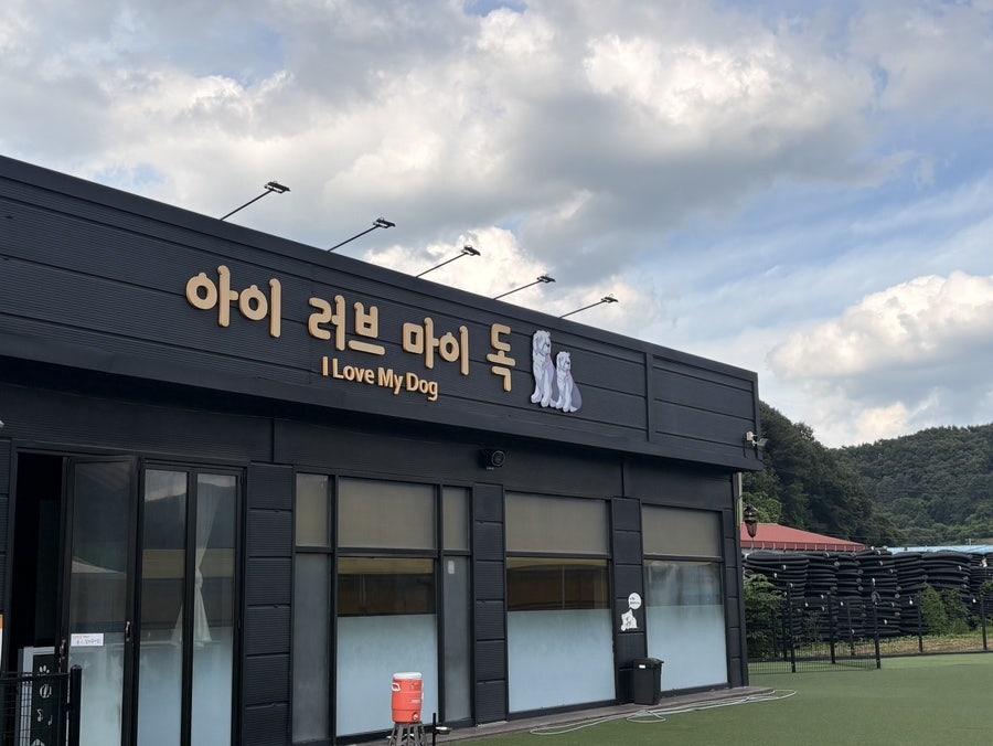 아이러브마이독 사진 5